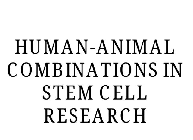 Human-Animal Combinations in Stem Cell Research